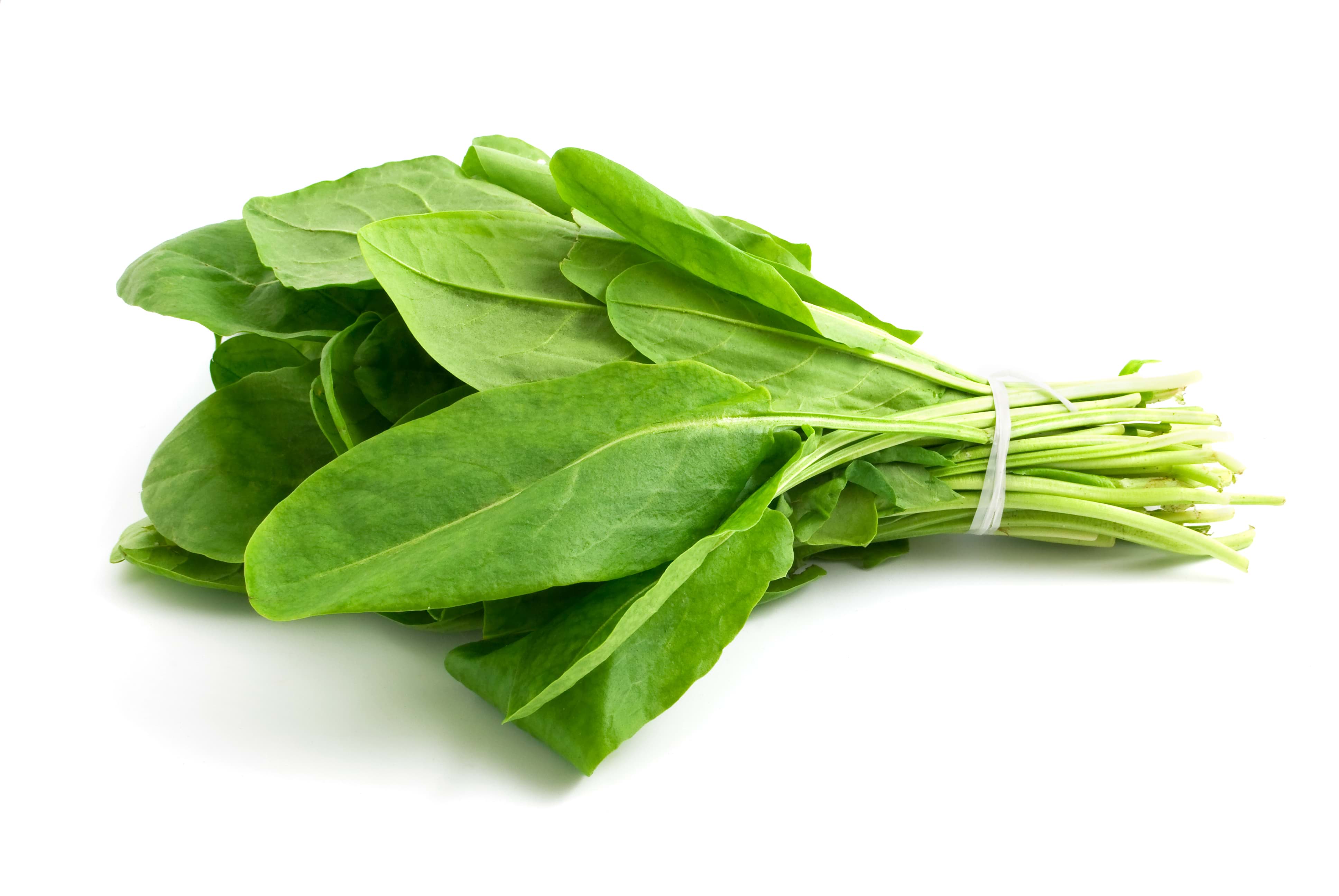 Šťovík na 228.sk- pomôž si sám.